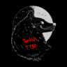T13R