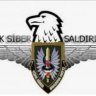 siber saldırı timi