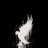 ShadowOfMaster