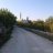 bellashe
