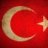 Madeinturkish