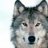 GRAYWOLFTR