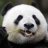 PandaWasHere