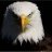 Eagle17