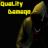 QuaLityDamaqe