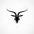 oguzhanuslu