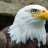 EagleTrip