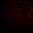 R1P CODE